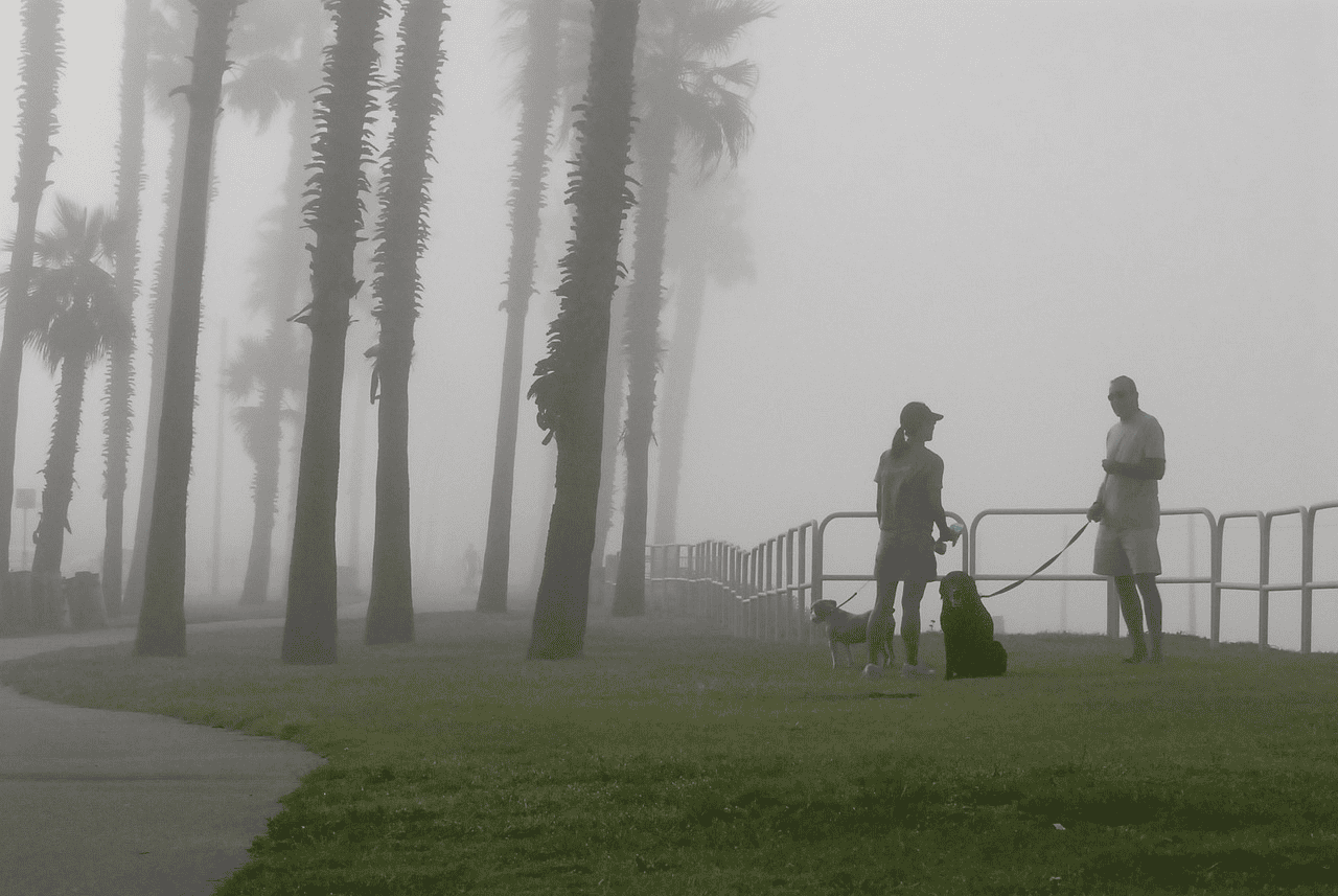 Boardwalk path at Dog Beach