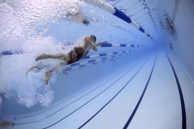 swimmers, swimming, nature